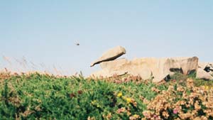 La bouteille renvers�e