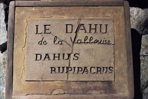 Le dahu en latin !
