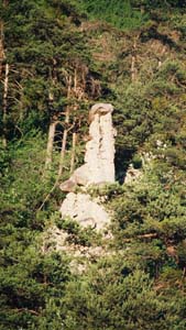 une demoiselle dans les arbres